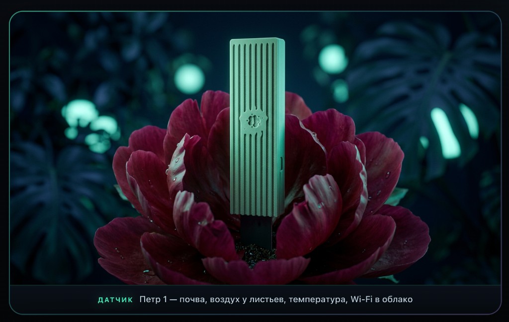 Датчик Петр 1 и цветок в неоновом стиле: почва, воздух у листьев, температура, Wi‑Fi